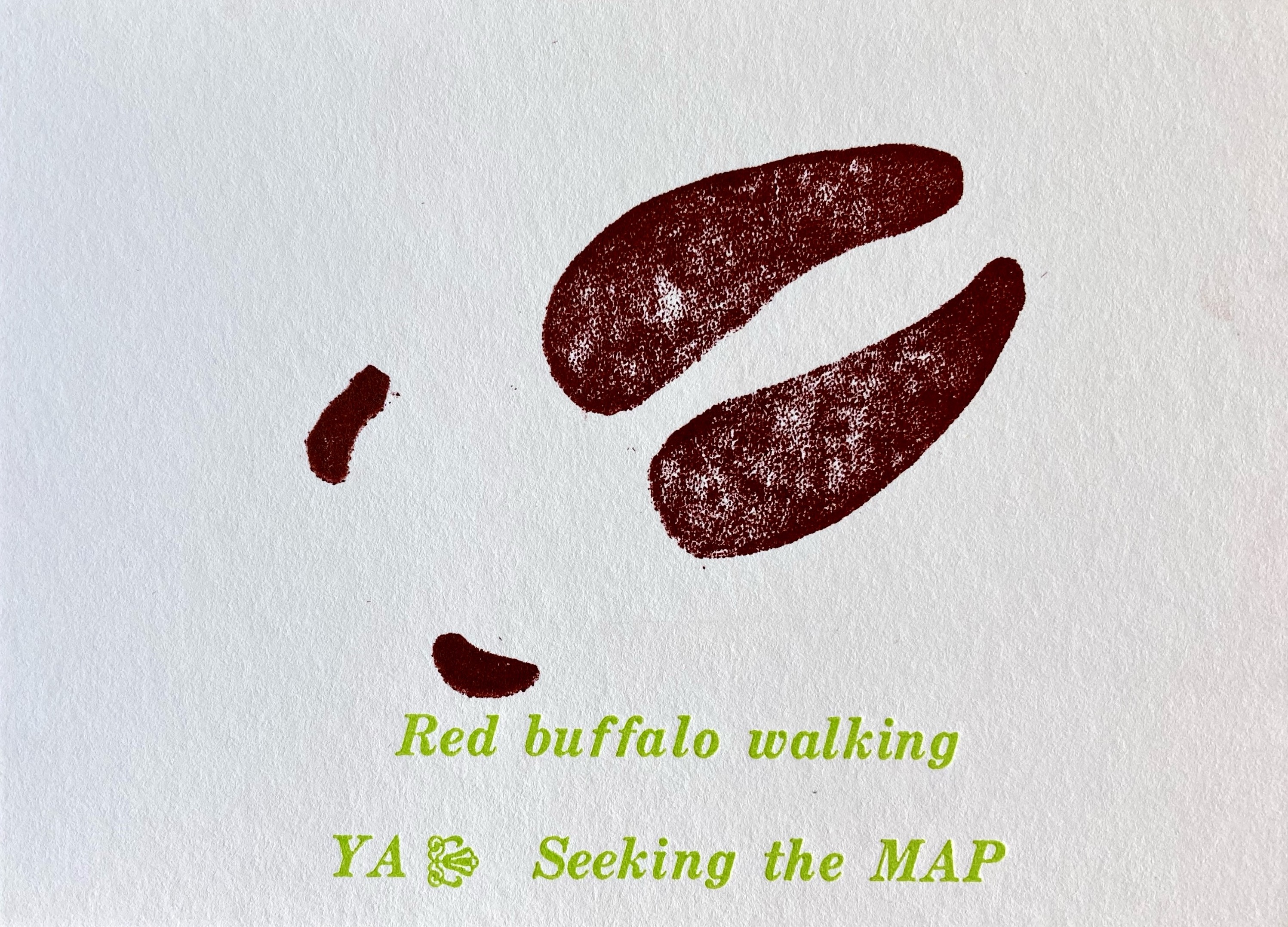 Red Buffalo Walking