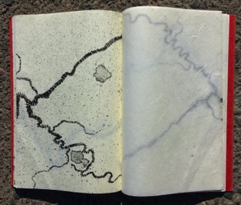 Flight Path of the Heron (book)