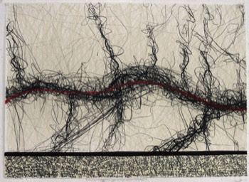 The Collapse of Memory