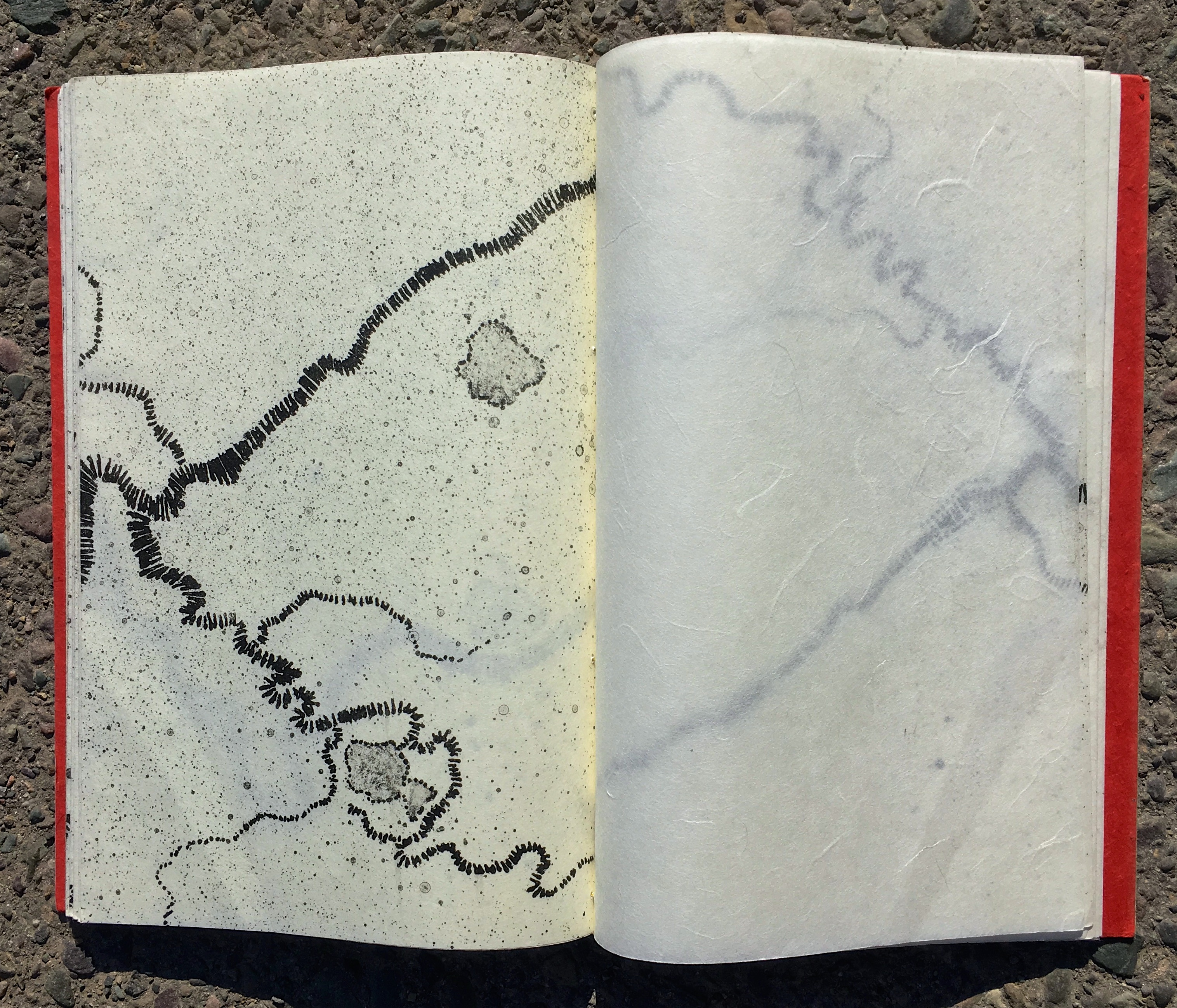 Flight Path of the Heron (book) 